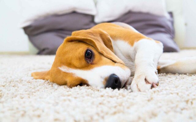 Benefits of Professionally-Cleaned A/C - Thermolux